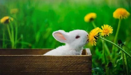 开yun官网-摩洛哥队在巴黎奥运会男足比赛中以1-2不敌阿根廷，摩洛哥足球队