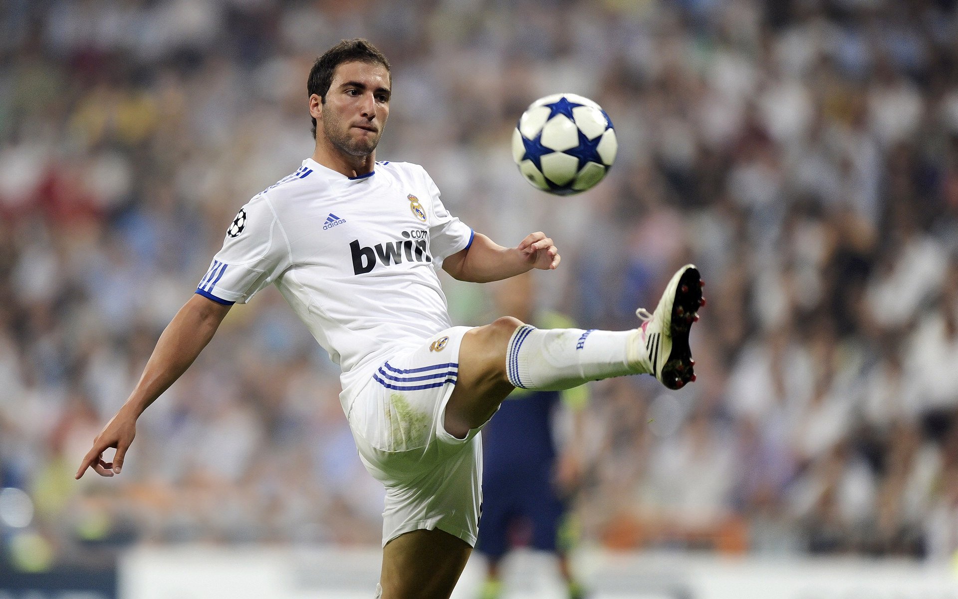 凯尔特人创“午夜训练计划”，球员自由安排战术加练，凯尔特人训练视频